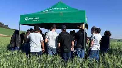 Programa vivenciando a prática aproxima estudantes da realidade do campo 